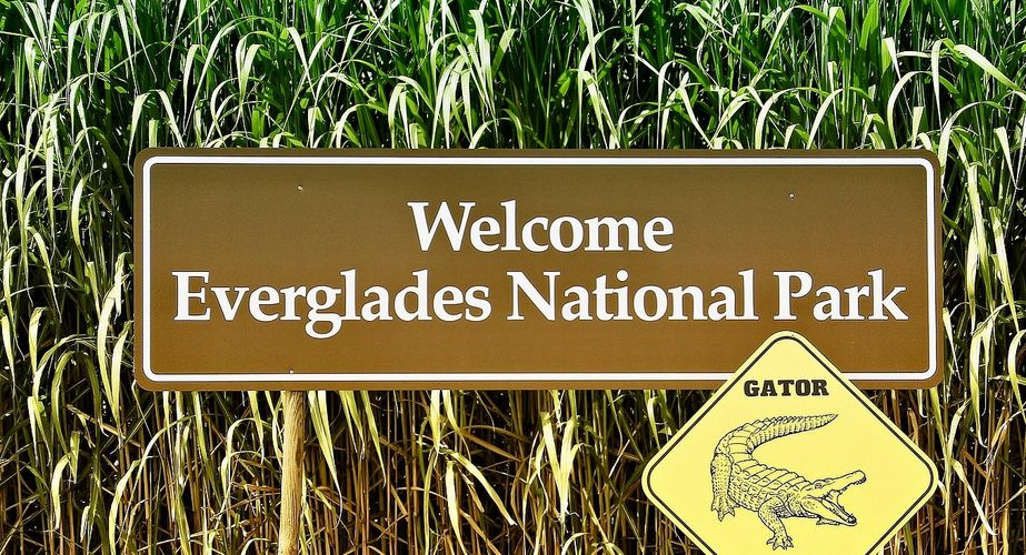 Deep South 17 Deep South 17